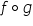 f ring operator g